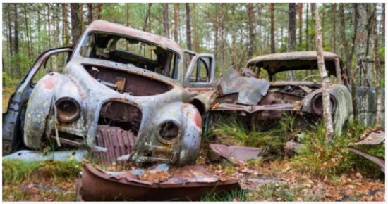 Kid Walking Through Forest Finds Abandoned Car, Notices Old Box with Envelope inside